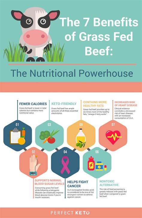 The 7 Benefits of Grass Fed Beef: The Nutritional Powerhouse