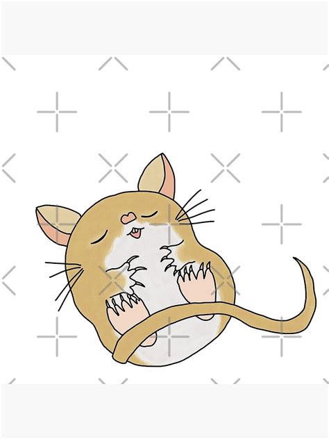 "Cute golden sleeping Gerbil" Poster for Sale by Becky-Marie | Redbubble