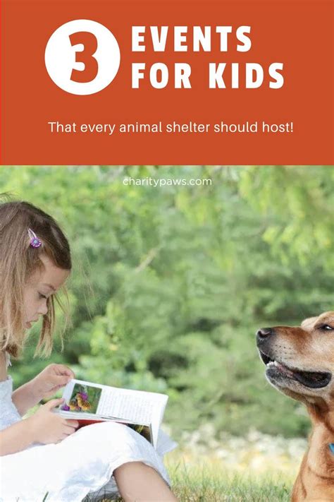 3 event ideas for animal shelters to do with kids – Artofit