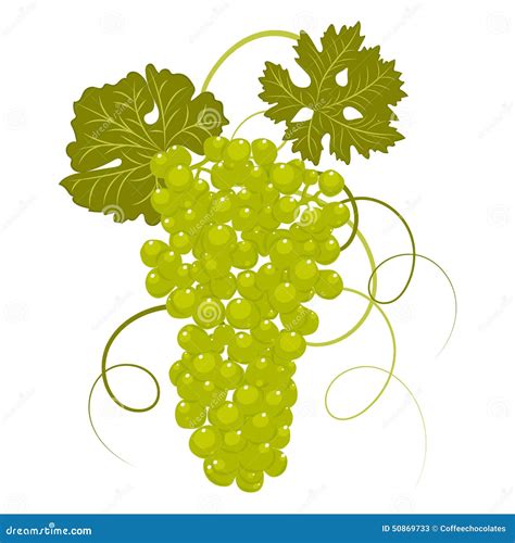 Hand-drawing Grapes With Leaves Vector Stock Vector - Image: 50869733