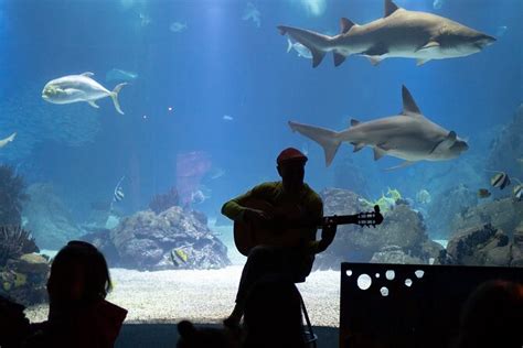 Lisbon Self-Guided Audio Tour and Aquarium Package 2023