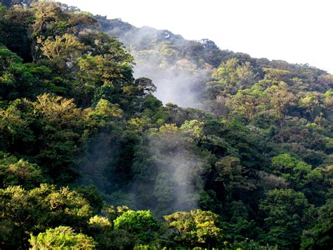 Tenorio Volcano National Park