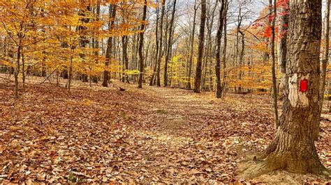 Sweet Run State Park: Virginia's Newest State Park