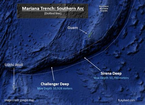 The Mariana Trench: What’s Going on Down There?? | by The Regrowth ...