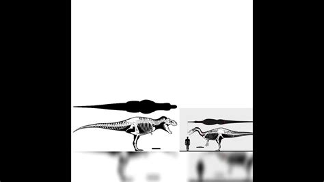 Tyrannosaurus Rex And Suchomimus Size Comparison - YouTube