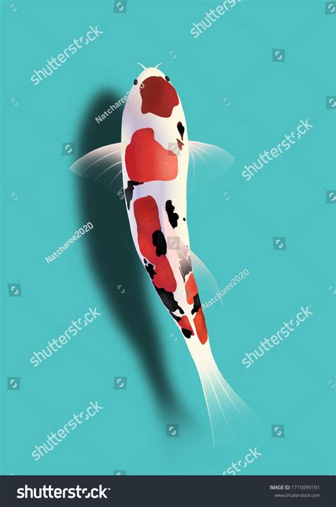 Cartoon Black White Koi Fish Drawing Stock Photo 1715099191 | Shutterstock