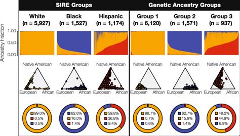 Race, ethnicity, and genetic ancestry in the US. Continental genetic ...