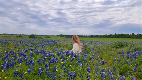 Where to Take Pictures of Bluebonnets in Texas – It's Not Hou It's Me