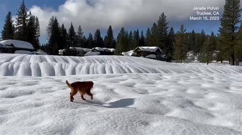 Rain Leaves Beautiful Patterns In Truckee Snow - Videos from The Weather Channel