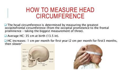 How To Measure Head Circumference For Hat - While it's helpful to know ...