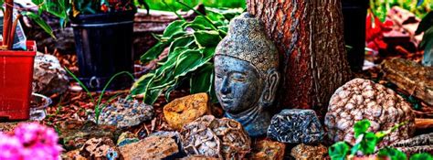 5 Ways To Celebrate Bodhi Day | Bodhi, Buddhist traditions, Buddhism