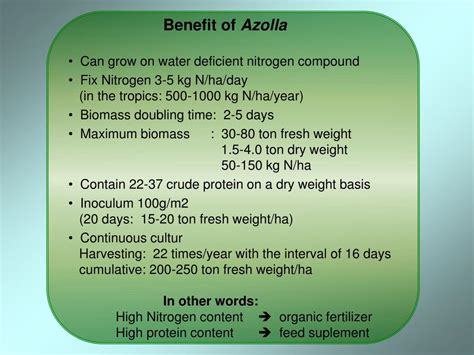 PPT - Azolla pinnata PowerPoint Presentation, free download - ID:6224022