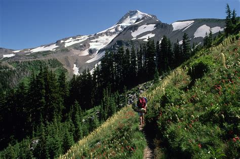 Backpacking near Elk Cove on Timberline Trail, Mt Hood Nat… | Flickr