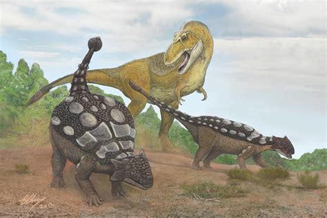 Ankylosaurus vs Rex by Gogosardina on DeviantArt