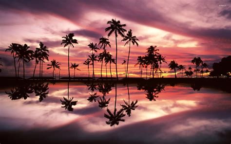 Beautiful sunset sky behind the palm trees by the ocean wallpaper - Beach wallpapers - #51743