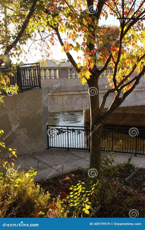 Fall Color on the Flint River Bridge Stock Image - Image of color, fall: 40979919