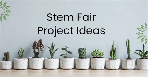 Stem Fair Project Ideas - Science Fair Projects