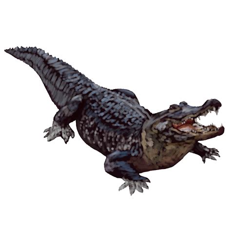 Alligator Transparent Background | PNG Mart