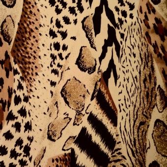 Free Images : nature, texture, wildlife, pattern, print, fauna, cheetah ...