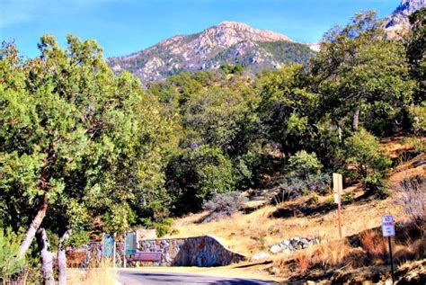 Now is the Time to Discover Madera Canyon, a Hiking and Birding Paradise - RVing with Rex Side ...