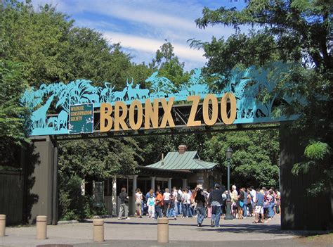 Bronx Zoo - Wikipedia