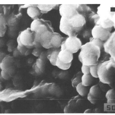 (PDF) Formation of alunite, jarosite and hydrous iron oxides in a hypersaline system: Lake ...