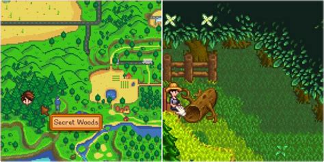 How To Access The Secret Woods Early In Stardew Valley