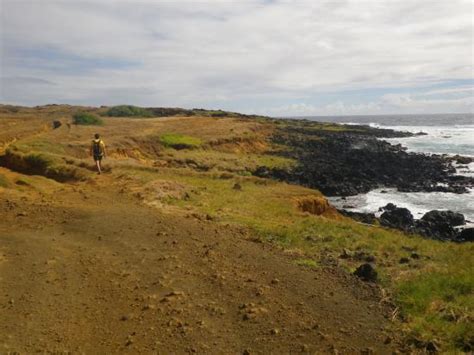 Papalolea Green Sand Beach Big Island Hawaii | Aloha Dreams