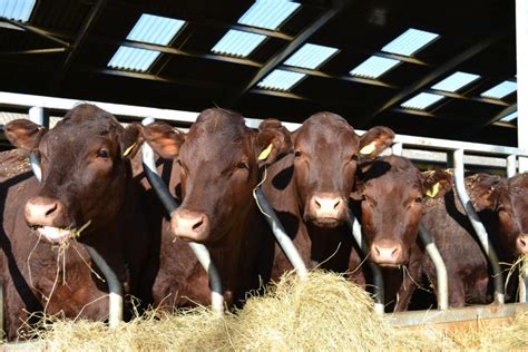 Local Farmers' Photos | Hobbs Parker