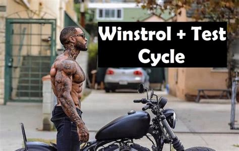 Test Winstrol Cycle | Buy Winstrol | Buy Testosterone | CycleGear.to