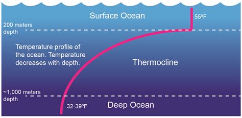 Ocean Layers & Mixing – Time Scavengers