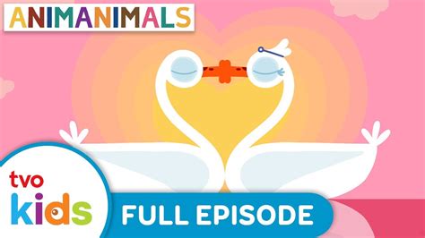 ANIMANIMALS 🦢 The Swan 🦢 Season 2 NEW FULL EPISODE!! Animal Cartoons For Kids - YouTube