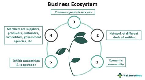 Business Ecosystem - Definition, Examples, Model, Types