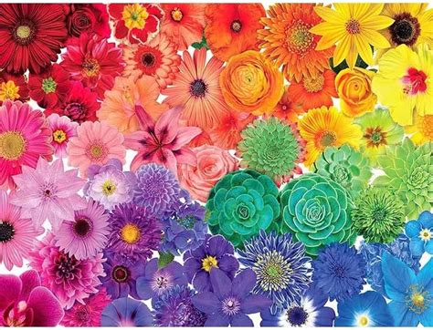 はいたしか 【新品未使用】Flower Jigsaw Puzzleの セットにな