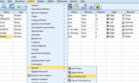 Survival Analysis with Cox Regression Model - ESTAMÁTICA