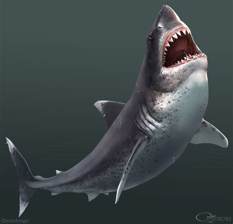 Megalodon | Dinopedia | FANDOM powered by Wikia