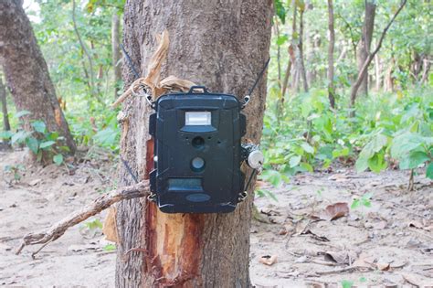 E-eye To Be Brought To All Sanctuaries To Keep An Eye On the Tiger - India's Endangered