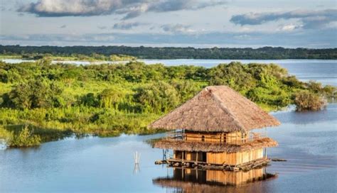 Que sitios debes conocer en tu viaje al amazonas peruano en Iquitos