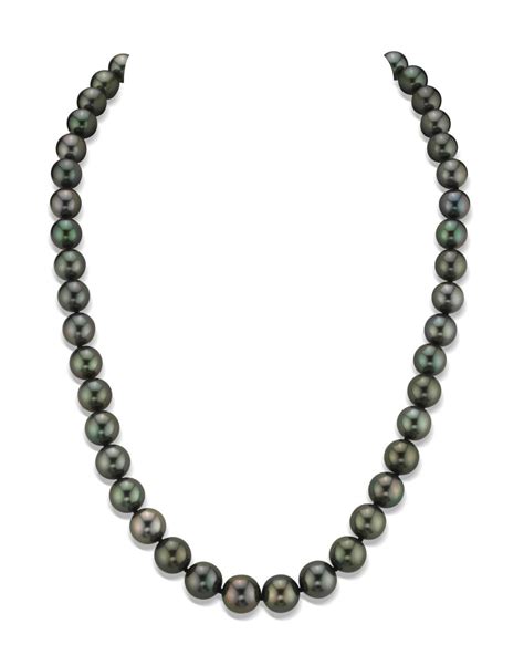 8-10mm Tahitian Round South Sea Pearl Necklace - AAA Quality | South sea pearl necklace, Buy ...