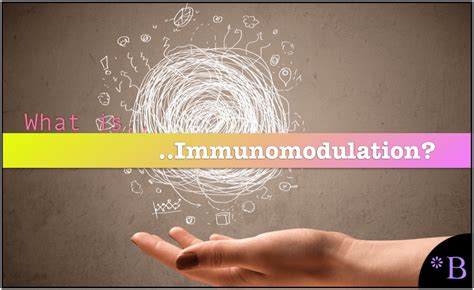 What is Immunomodulation and What Are Immunomodulators? - Brightwork ...