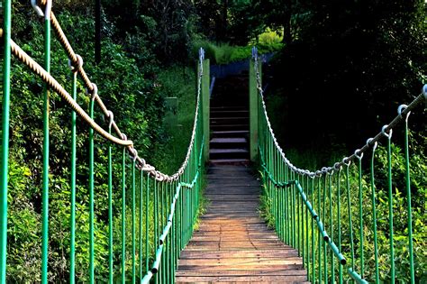 Rope Bridge Rainforest - Free photo on Pixabay - Pixabay