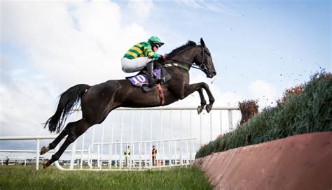 Racehorse Training - What Is Involved? - RaceBets Blog