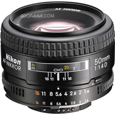 8 Best 50mm Lenses for Nikon