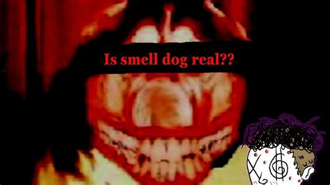 Is Smile Dog Real? - YouTube