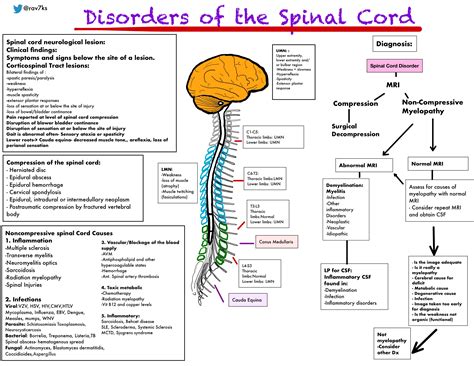 Spinal Lesions Symptoms