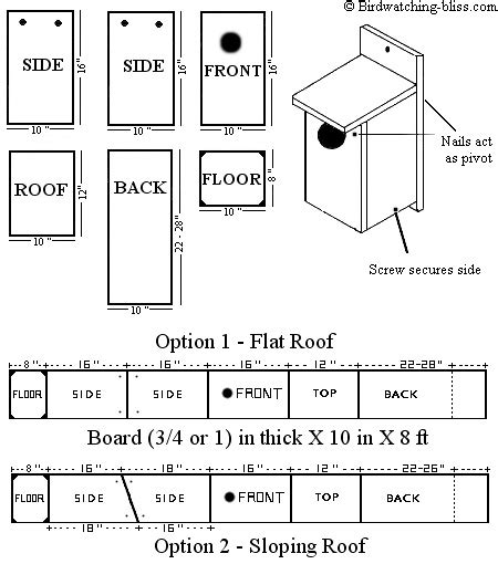 American Kestrel Nest Box Plans