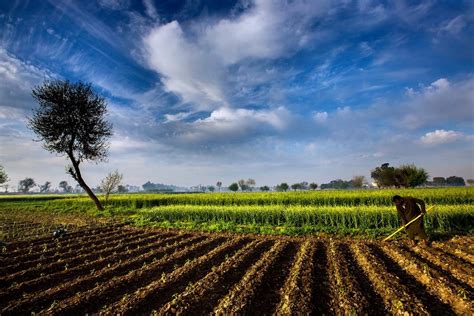 Tarım Siteniz: Hd Ziraat Resimleri (Hd Agriculture Photos)