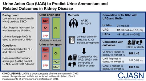 urine anion gap – Precious Bodily Fluids