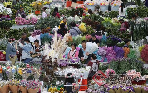 昆明斗南花市：假日催热鲜花经济_云南网