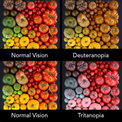 Color Blindness – Designing Through a Different Set of Eyes